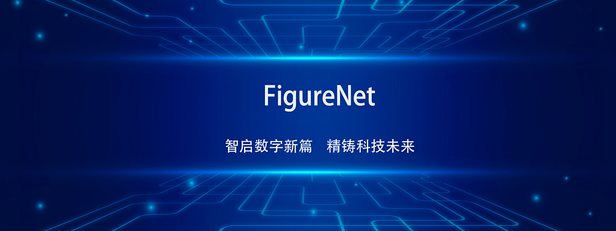 费格网络